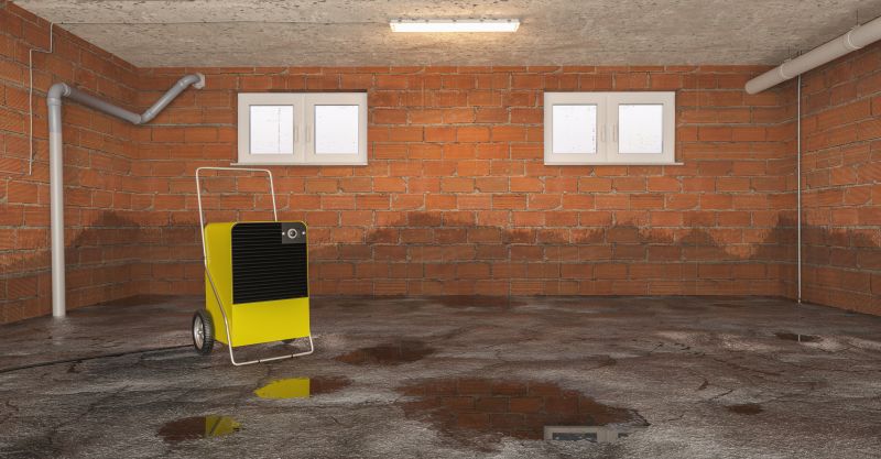Basement Restoration Service in Mesa, AZ