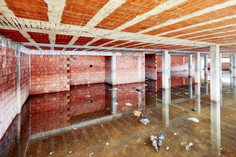 Flood Cleanup Service in Mesa, AZ