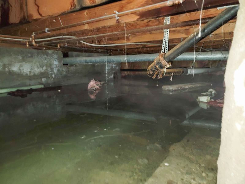 Flood Restoration Service in Phoenix, AZ