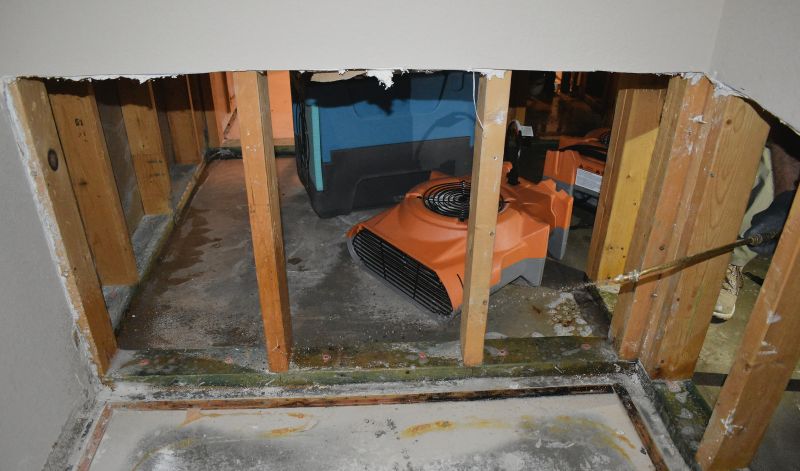 Water Damage Cleanup in Phoenix, AZ
