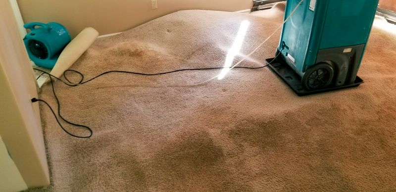 Wet Carpet Drying in Scottsdale, AZ